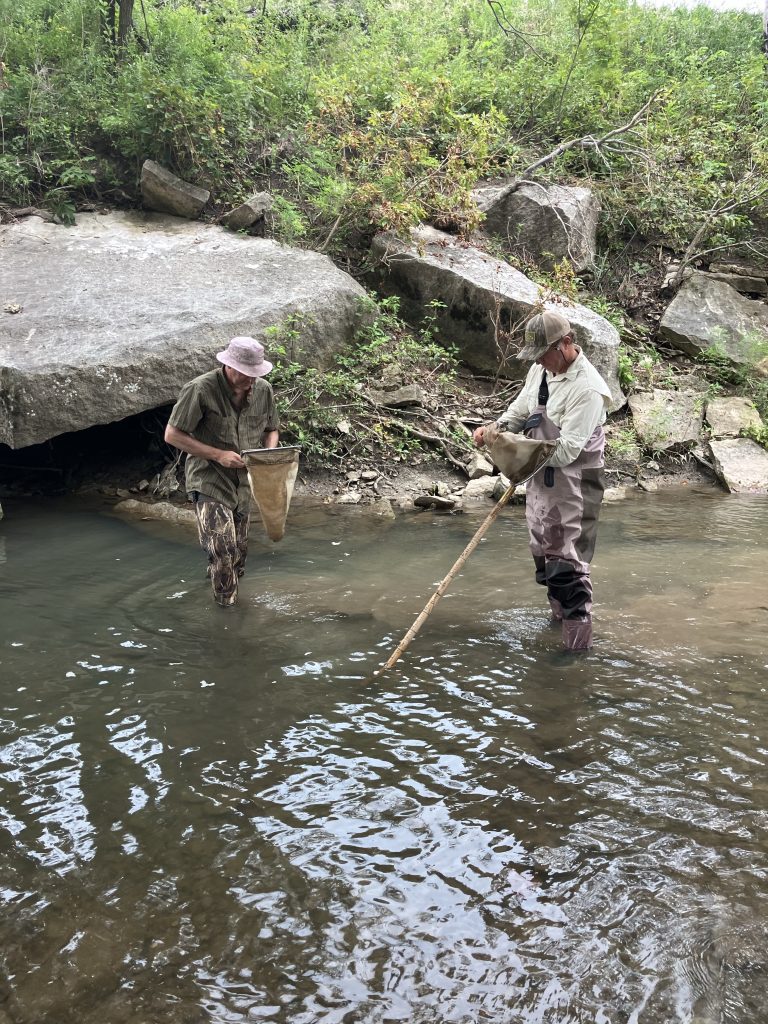 Field staff conducting a biological assessment in a Kansas stream