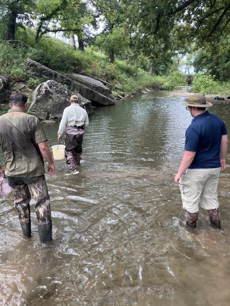 Field team walking through a stream during a watershed assessment